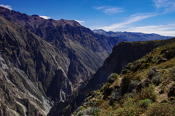 포토 JPG 해외이미지 공원 야생동물 여행 자연 조류 산 파노라마 풍경 사람없음 야외 초록색 강 골짜기 계곡 미국 하이킹 사막 관찰 가장자리 땅 고도 손목시계 언덕 머리위 멀리 깊이 잉카 페루 해외포토 동물 공공시설 시계 컬러 북아메리카 장신구 모션 레저 촬영기법 남아메리카 둘레 생태계 파일형식 이미지허브