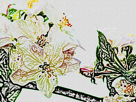 포토 JPG 해외이미지 모양 나무 꽃 일러스트 미술 사람없음 빛 맑음 봄 벚꽃 흰색 개화 사과 그림 캔버스 해외일러스트 식물 계절 컬러 과일 날씨 문화예술 파일형식 이미지허브