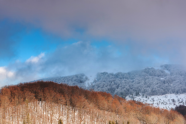 포토 JPG 해외이미지 나무 계절 유럽 여행 겨울 자연 하늘 날씨 산 국립공원 풍경 사람없음 야외 목재 파란색 환경 추위 눈송이 황무지 숲 오두막 언덕 서리 폴란드 내추럴 삼림지대 절정 폭설 눈내림 해외포토 식물 공원 나라 컬러 재료 눈_날씨 자연재해 생태계 파일형식 이미지허브
