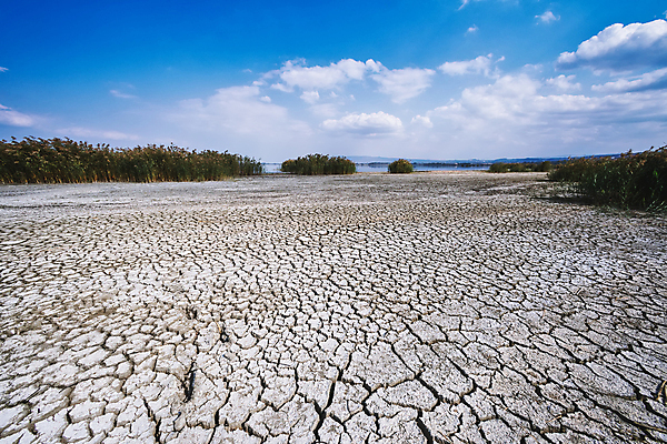 포토 JPG 해외이미지 계절 지구 호수 모래 백그라운드 패턴 자연 표면 날씨 건조 풍경 사람없음 물 여름 글로벌 갈색 환경 흙 손상 사막 슬픔 죽음 뜨거움 거친 변화 균열 댐 땅 부식 질감 먼지 충격 가뭄 지구온난화 내추럴 기후변화 깨짐 땅바닥 생태학 위기 재앙 해외포토 자연요소 공공시설 교육 감정 컬러 컨셉 무늬 모션 바닥 생태계 파일형식 이미지허브