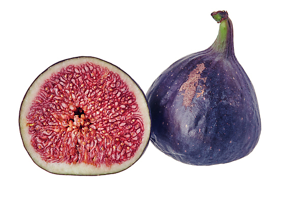 포토 JPG 해외이미지 클리핑패스 음식 조각 백그라운드 다이어트 과일 재료 부분 자연 디저트 건강 씨앗 사람없음 빨간색 파란색 보라색 활발 흰색 신선 그룹 달콤 맛 자르기 제비꽃 묘사 유기농 날것 무화과 강렬 고립 숙성 이국적 해외포토 식물 웰빙 꽃 컬러 컨셉 모션 생태계 파일형식 이미지허브