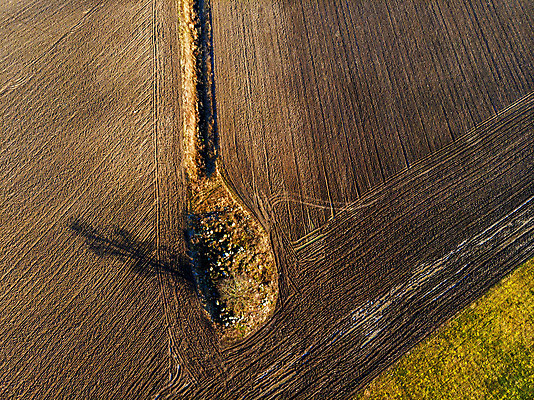 포토 JPG 해외이미지 나무 식물 계절 유럽 산업 지구 선 패턴 밭 농업 자연 하늘 안테나 그림자 풍경 사람없음 야외 초록색 여름 태양 농장 농경지 갈색 맑음 봄 수확 시골 정상 땅 질감 머리위 내추럴 넘어짐 드론 땅바닥 밭일 혼자 세련 해외포토 자연요소 나라 컬러 무늬 통신 모션 날씨 바닥 생태계 파일형식 이미지허브