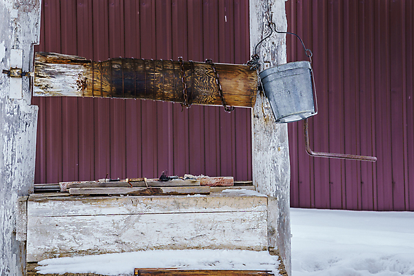 포토 JPG 해외이미지 나무 전통 음료 밧줄 여행 농업 사람없음 야외 목재 빨간색 물 울타리 농장 갈색 마을 정원 수확 골동품 시골 역사 갈증 양동이 철사 통조림 자작나무 펌프 도르래 옛날 해외포토 자연요소 식물 산업 줄 컬러 재료 담장 파일형식 이미지허브