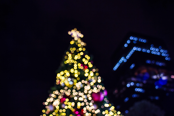 포토 JPG 해외이미지 나무 라이프스타일 디자인 백그라운드 컨셉 크리스마스 겨울 벽지 추상 휴가 전등 새로움 기념 요정 사람없음 장식 빛 노란색 흰색 축하 인사 도시 소나무 신용카드 눈송이 황금 야간 소프트포커스 신비 연도 질감 보케 부드러움 광 블러 효과 해외포토 자연요소 식물 계절 기념일 컬러 무늬 조명 눈_날씨 촬영기법 생활 금융 예절 감각 파일형식 이미지허브