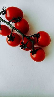 포토 JPG 해외이미지 식물 음식 백그라운드 잎 농업 다이어트 토마토 채소 과일 재료 자연 건강 요리 사람없음 빨간색 초록색 여름 빛 식사 활발 샐러드 성장 흰색 신선 원형 시장 맛 케첩 먹기 오브젝트 싱글 유기농 원예 날것 내추럴 고립 숙성 영양분 채식주의자 해외포토 도형 웰빙 계절 산업 컬러 컨셉 모션 취미 소스_음식 생태계 채식 파일형식 이미지허브