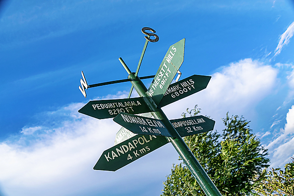 포토 JPG 해외이미지 도로 여행 가이드 텍스트 발 하늘 휴가 화살 거리 사람없음 야외 목재 초록색 파란색 여행객 금속 정보 흰색 도시 표지판 방향 사인 봉 방문 방법 스리랑카 충고 해외포토 나무 직업 아시아 길 컬러 재료 교통시설 재질 알림판 사람 신체부위 파일형식 이미지허브