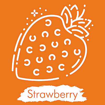 포토 JPG 해외이미지 디자인 계절 선 모래 파도 바다 섬 여행 일러스트 딸기 휴가 휴식 미술 취미 해변 사람없음 야외 그래픽 수확 뜨거움 화려 낙서 스케치 심볼 오브젝트 사인 그림 윤곽 고립 엘리먼트 스타일 해외일러스트 컨셉 농업 과일 문화예술 파일형식 이미지허브