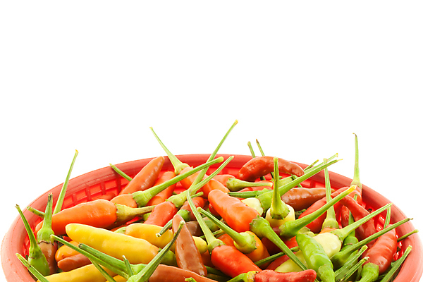 포토 JPG 해외이미지 음식 백그라운드 농업 다이어트 채소 자연 고추 불 건강 요리 사람없음 빨간색 초록색 농작물 활발 수확 신선 뜨거움 양념 맛 먹기 향신료 묘사 유기농 매움 날것 후추 성분 흙더미 숙성 채식주의자 화상 해외포토 자연요소 웰빙 산업 컬러 컨셉 모션 흙 상처 생태계 채식 향미료 파일형식 더미 이미지허브