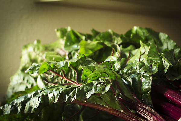 포토 JPG 해외이미지 식물 음식 백그라운드 무지개 잎 농업 다이어트 채소 재료 건강 사람없음 빨간색 초록색 컬러풀 보라색 식사 샐러드 수확 시골 신선 다발 허브 스위스 유기농 날것 내추럴 채식주의자 비건 해외포토 자연요소 웰빙 유럽 산업 컬러 채식 파일형식 이미지허브