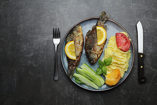 포토 JPG 해외이미지 접시 포크 토마토 오이 실내 요리 사람없음 하이앵글 나이프 레몬 생선구이 바질 건강식 감자샐러드 해외포토 식기 음식 뷰포인트 채소 과일 내부 샐러드 칼 구이 생선요리 파일형식 이미지허브