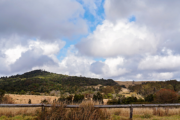 포토 JPG 해외이미지 나무 동물 라이프스타일 산업 밭 농업 자연 하늘 산 풍경 사람없음 목재 농장 환경 계곡 우유 시골 소 재산 호주 방목 열대우림 땅 언덕 상업 철사 철조망 방목장 밭일 수목 해외포토 식물 재료 포유류 유제품 생활 금융 오세아니아 축산업 숲 생태계 파일형식 이미지허브