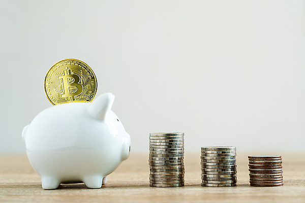 포토 JPG 해외이미지 손 컨셉 돈 비즈니스 가족 성공 남편 사람 사람없음 금융 경제 동전 저축 돼지저금통 성장 비즈니스맨 절약 계산 재산 은퇴 투자 이익 회계 월급 대출 계좌 넣기 세금 수입 예산 카운트 해외포토 남자 관계 모션 신체부위 저금통 직장인 파일형식 이미지허브