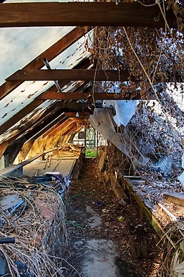 포토 JPG 해외이미지 전신 산업 비즈니스 창문 자연 유리 날씨 주택 실내 사람없음 가로 초록색 컬러풀 금속 손상 에너지 탐험 수확 황폐 신비 버리기 부식 폐허 원예 복고 구식 깨짐 밭일 옛날 온실 해외포토 컬러 컨셉 농업 모션 재질 취미 내부 건물 생태계 파일형식 이미지허브