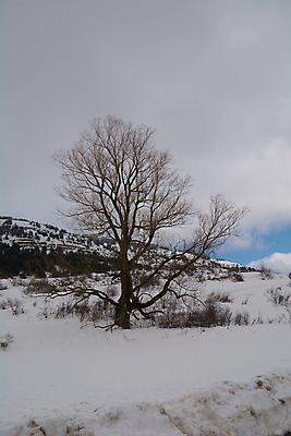 포토 JPG 해외이미지 구름 라이프스타일 계절 도로 스포츠 여행 겨울 자연 하늘 휴가 벽돌 산 바닥 파노라마 풍경 경사 사람없음 야외 파란색 태양 일출 맑음 냉동 등산 장비 추위 흰색 오솔길 땅 언덕 휴양지 정사각형 대리석 장면 스키선수 땅바닥 소다 해외포토 자연요소 도형 길 컬러 재료 교통시설 날씨 운동선수 촬영기법 생활 노을 트래킹 장소 생태계 파일형식 이미지허브