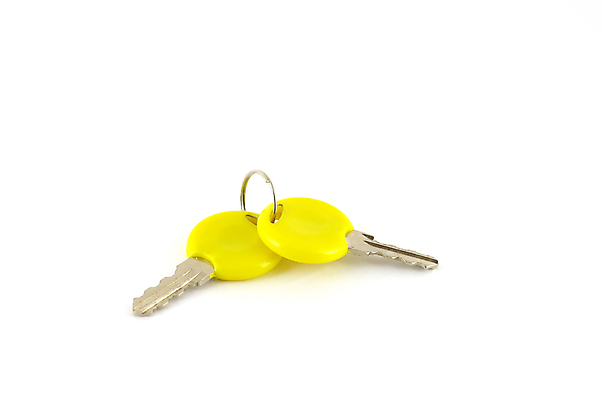 포토 JPG 해외이미지 디자인 백그라운드 패턴 성공 표면 열쇠 추상 사람없음 내부 장식 노란색 문 금속 수확 골동품 흰색 오픈 재산 낟알 오브젝트 질감 기회 잠금 보안 진짜 해외포토 컬러 컨셉 무늬 농업 재질 안전 금융 파일형식 이미지허브