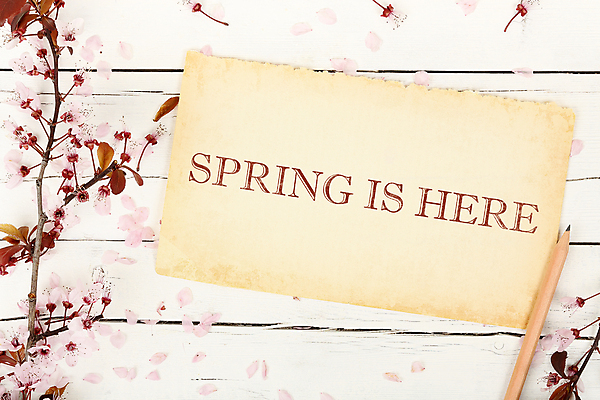 포토 JPG 해외이미지 계절 꽃잎 꽃 종이 분홍색 컨셉 꽃무늬 자연 날씨 사람없음 목재 단어 새싹 쪽지 고요 봄 벚꽃 나뭇가지 개화 메시지 4월 5월 순수 페이지 환영 시트 옛날 해외포토 나무 식물 문자 컬러 무늬 재료 날짜 생태계 파일형식 이미지허브