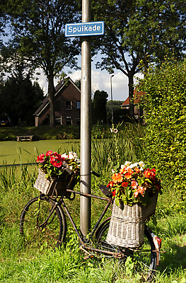 포토 JPG 해외이미지 꽃 자연 풍경 사람없음 장식 초록색 자전거 등불 연못 이름표 네덜란드 봉 해외포토 식물 유럽 컬러 조명 바이크 생태계 파일형식 이미지허브