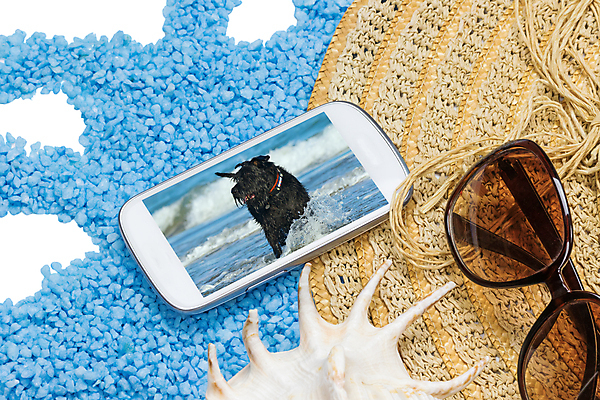 포토 JPG 해외이미지 계절 안경 파도 바다 여행 백그라운드 컨셉 추상 휴가 조개 세포 풍경 사람없음 여름 파란색 빛 스마트폰 반려동물 햇빛 태양 맑음 검은색 흰색 개 밀짚모자 모음 고립 수평선 해외포토 자연요소 동물 모자_잡화 잡화 컬러 무늬 포유류 날씨 어패류 한글 핸드폰 스마트기기 파일형식 이미지허브