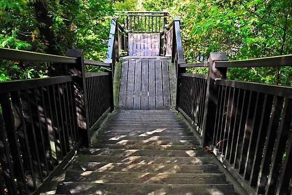 포토 JPG 해외이미지 나무 식물 길 여행 잎 건축양식 자국 자연 경사 사람없음 야외 목재 초록색 갈색 계단 환경 산책 하이킹 회색 성장 숲 관목 언덕 오르기 공학 단상 단계 내추럴 방법 착륙 해외포토 교육 건축 컬러 재료 모션 레저 휴식 생태계 파일형식 이미지허브
