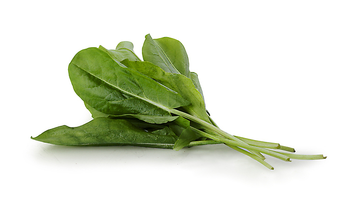 포토 JPG 해외이미지 클리핑패스 음식 채소 요리 사람없음 초록색 농작물 농장 식사 수확 흰색 신선 다발 허브 고립 해외포토 식물 컬러 농업 파일형식 이미지허브