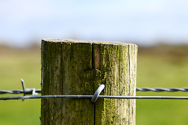 포토 JPG 해외이미지 농업 추상 잉글랜드 사람없음 야외 울타리 농장 금속 사진촬영 시골 보호 위험 철사 철조망 밭일 카피스페이스 해외포토 산업 컨셉 무늬 재질 영국 담장 촬영 공백 파일형식 이미지허브