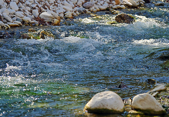 포토 JPG 해외이미지 나무 외관 공원 호수 물결 파도 여행 백그라운드 모션 자연 표면 산 풍경 사람없음 야외 초록색 물 여름 강 힘 봄 거품 폭포 젖음 흐름 흰색 신선 액체 개울 급류 떨어짐 순수 질감 분무기 내추럴 전국 해외포토 자연요소 식물 계절 공공시설 바다 컬러 컨셉 생태계 파일형식 이미지허브