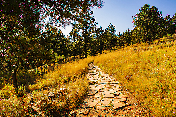 포토 JPG 해외이미지 나무 공원 길 단풍 잎 부분 자국 산 사람없음 야외 평화 걷기 계단 환경 미국 침묵 산책 하이킹 가을 조약돌 바위 소나무 황무지 큼 오솔길 오르기 먼지 지역 암초 루트 방법 사생활 콜로라도 해외포토 식물 계절 공공시설 컨셉 북아메리카 모션 레저 휴식 소리 돌_바위 크기 파일형식 이미지허브