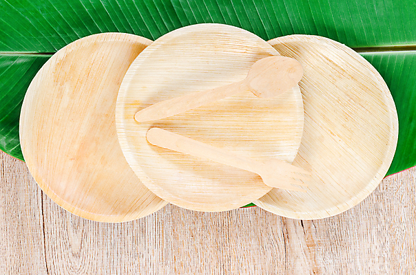 포토 JPG 해외이미지 잎 실내 사람없음 하이앵글 자연보호 에코 친환경 에코라이프 나무숟가락 나무접시 나무포크 친환경제품 제로웨이스트 나무배경 해외포토 식물 라이프스타일 접시 뷰포인트 백그라운드 포크 자연 내부 환경 숟가락 그린캠페인 보호 사회이슈 파일형식 이미지허브