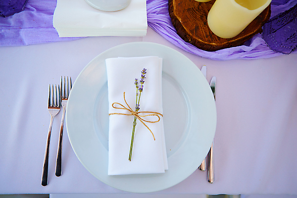 포토 JPG 해외이미지 접시 꽃 분홍색 꽃다발 결혼 백그라운드 의자 유리 탁자 결혼식 전등 실내 이벤트 사람없음 내부 장식 파티 요식업 식당 보라색 식사 저녁식사 식탁보 흰색 하트 축하 직물 고급 우아함 은색 배열 묘사 서비스 냅킨 라벤더 설정 접수 정중 해외포토 모양 식물 식기 산업 컬러 가구 컨셉 재질 조명 상점 허브 파일형식 이미지허브