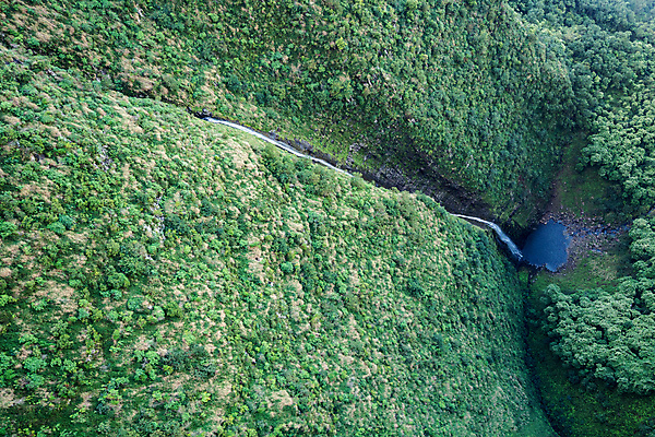포토 JPG 해외이미지 섬 여행 교통시설 자연 휴가 안테나 풍경 사람없음 야외 초록색 미국 헬리콥터 항공 하와이 조감도 하와이인 해외포토 외국인 컬러 교통 북아메리카 통신 비행기 시설 생태계 파일형식 이미지허브