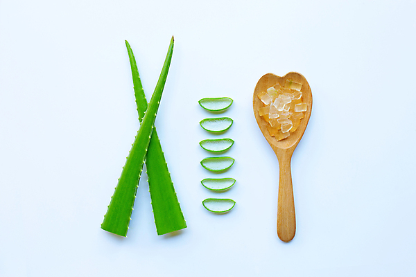 포토 JPG 해외이미지 스튜디오촬영 단면 실내 사람없음 하이앵글 흰배경 알로에 해외포토 식물 뷰포인트 백그라운드 내부 흰색 파일형식 이미지허브