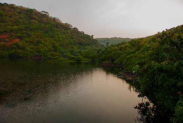 포토 JPG 해외이미지 나무 식물 구름 디자인 공원 호수 여행 백그라운드 자연 하늘 열대 주택 바나나 풍경 사람없음 초록색 물 여름 맑음 미국 활발 시골 연못 보트 인도인 운하 장면 코코넛 남쪽 마이애미 뱃놀이 케랄라주 플로리다 해외포토 자연요소 외국인 계절 공공시설 컬러 컨셉 북아메리카 배_교통 과일 날씨 동양인 건물 전통놀이 인도_나라 방향 생태계 파일형식 이미지허브