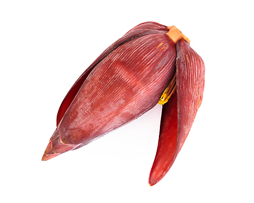 포토 JPG 해외이미지 식물 꽃잎 꽃 음식 백그라운드 꽃무늬 농업 채소 과일 자연 바나나 사람없음 벚꽃 흰색 신선 묘사 유기농 고립 해외포토 웰빙 산업 컬러 무늬 생태계 파일형식 이미지허브