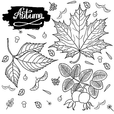 포토 JPG 해외이미지 나무 식물 손 디자인 계절 백그라운드 단풍 잎 꽃무늬 패턴 일러스트 자연 미술 사람없음 그래픽 장식 여름 세트 연필 검은색 봄 수확 가을 흰색 나뭇가지 숲 스케치 허브 오브젝트 그림 서식 윤곽 손그림 판화 내추럴 고립 그런지 엘리먼트 디테일 해외일러스트 꽃 컬러 무늬 농업 문화예술 학용품 신체부위 필기구 생태계 파일형식 이미지허브