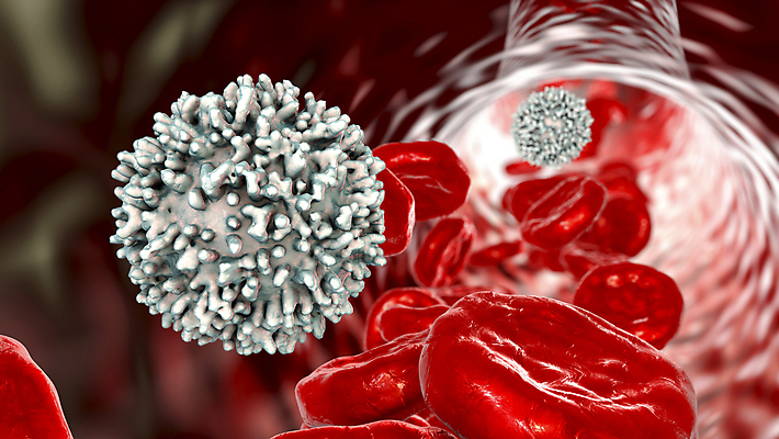 포토 JPG 해외이미지 세포 사람없음 3D 혈관 적혈구 혈구 백혈구 해외포토 장기_의학 디지털합성 파일형식 이미지허브