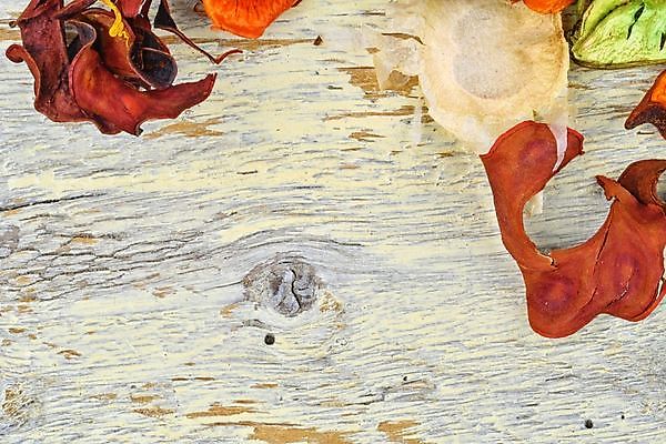 포토 JPG 해외이미지 전통 계절 분홍색 백그라운드 크리스마스 자연 탁자 건조 씨앗 사람없음 장식 빨간색 초록색 컬러풀 보라색 축제 활발 펼침 소나무 신용카드 닫기 선택 숲 자주색 솔방울 진홍색 원뿔 강렬 꼬투리 빅토리아 해외포토 도형 나무 식물 기념일 컬러 가구 컨셉 모션 금융 생태계 파일형식 이미지허브