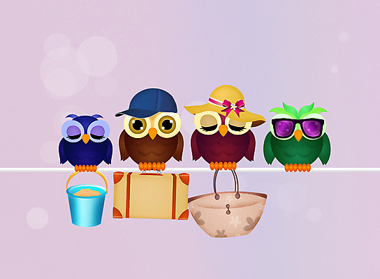 포토 JPG 해외이미지 동물 커플 바다 섬 여행 가방 일러스트 가족 조류 휴가 휴식 사람없음 여름 짐 엽서 해외일러스트 잡화 계절 컨셉 관계 편지 파일형식 이미지허브