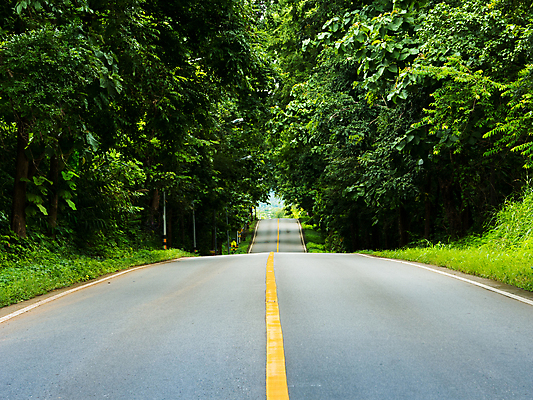 포토 JPG 해외이미지 나무 공원 실루엣 도로 길 선 여행 백그라운드 비즈니스 건축양식 교통시설 모션 자연 하늘 성공 아침 산 거리 풍경 사람없음 야외 여름 빛 환경 봄 도전 시골 도시 고속도로 선택 숲 아스팔트 방향 왼쪽 교차로 속도 기회 장면 짐차 방법 절정 해외포토 주간 식물 계절 공공시설 건축 교통 컨셉 자동차 촬영기법 시설 생태계 파일형식 이미지허브