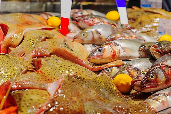 포토 JPG 해외이미지 동물 전통 유럽 음식 바다 여행 재료 낚시 건강 어류 요리 서기 사람없음 야외 초록색 물 도시풍경 컬러풀 세일 상점 프랑스 신선 잡기 도시 시장 농부 해산물 유기농 날것 지역 타운 내추럴 프랑스어 해외포토 자연요소 직업 문자 웰빙 나라 컬러 모션 레저 풍경 수중동물 파일형식 이미지허브