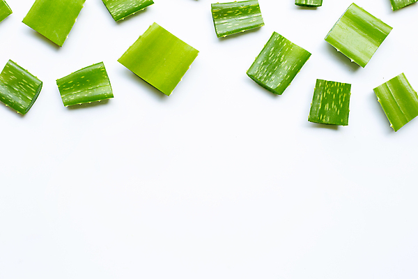 포토 JPG 해외이미지 스튜디오촬영 실내 사람없음 흰배경 알로에 해외포토 식물 백그라운드 내부 흰색 파일형식 이미지허브