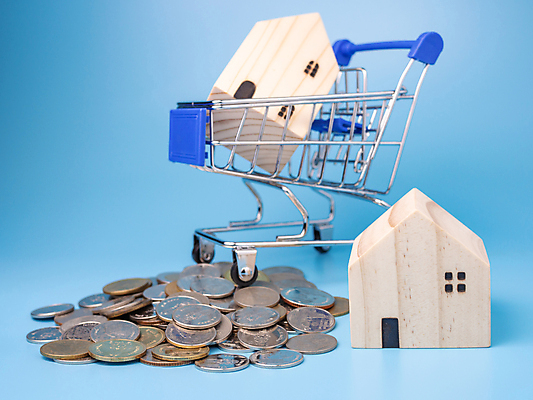 포토 JPG 해외이미지 모델 백그라운드 컨셉 돈 비즈니스 성공 설계 주택 사람없음 건물 가로 금융 경제 파란색 쇼핑 세일 쌓기 동전 카트 성장 절약 시장 재산 구매 중개인 사인 투자 상업 결제 소매 대출 매각 미니 진짜 카피스페이스 해외포토 직업 건축물 컬러 모션 공백 파일형식 이미지허브