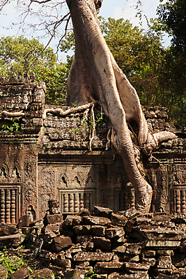 포토 JPG 해외이미지 나무 아시아 종교 문화 얼굴 벽 여행 불교 건축양식 사람없음 건물 조각상 바위 사찰 재산 캄보디아 고고학 옛날 힌두교 해외포토 식물 건축물 교육 건축 나라 종교건축 신체부위 금융 조형물 돌_바위 파일형식 이미지허브