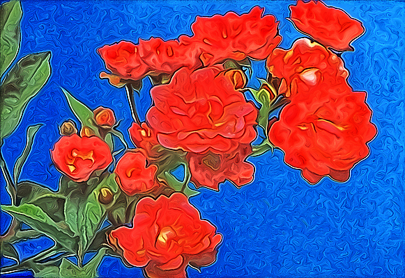 JPG 해외이미지 꽃 일러스트 미술 사람없음 빨간색 파란색 장미 해외일러스트 식물 컬러 문화예술 파일형식 이미지허브