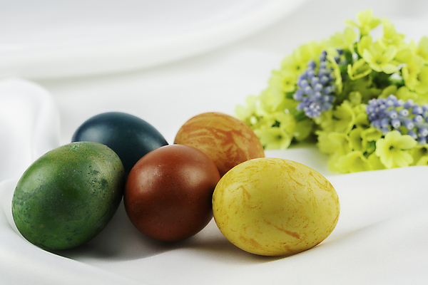 포토 JPG 해외이미지 식물 전통 디자인 계절 꽃 종교 백그라운드 컨셉 패턴 휴가 부활절 창조 이벤트 사람없음 장식 가로 빨간색 초록색 파란색 컬러풀 노란색 계란 페인트 봄 흰색 축하 시간 그룹 수집 오브젝트 질감 잔치 체코 해외포토 기념일 유럽 컬러 무늬 알 파일형식 이미지허브