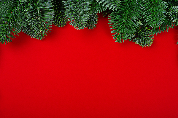 포토 JPG 해외이미지 나무 템플릿 디자인 배너 계절 행복 백그라운드 컨셉 크리스마스 겨울 휴가 새로움 프레임 사람없음 장식 빨간색 초록색 축제 화환 나뭇가지 축하 인사 소나무 신용카드 클래식 연도 초대 전나무 가문비나무 카피스페이스 해외포토 식물 기념일 꽃 감정 컬러 금융 공백 예절 파일형식 이미지허브