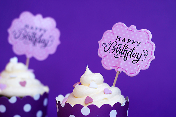 포토 JPG 해외이미지 디자인 배너 행복 음식 분홍색 백그라운드 컨셉 패턴 텍스트 벽지 기념 선물 사랑 사람없음 장식 컵 세로 파티 보라색 얼음 축제 소용돌이 하트 축하 인사 신용카드 생일 메시지 달콤 맛 설탕 컵케이크 굽기 뿌리기 제비꽃 심볼 크림 사인 꽃가루 반투명 자외선 페스츄리 프로스팅 해외포토 자연요소 모양 식기 기념일 꽃 감정 빵 컬러 무늬 모션 이벤트 금융 케이크 회오리 예절 가루 구이 제빵 파일형식 이미지허브