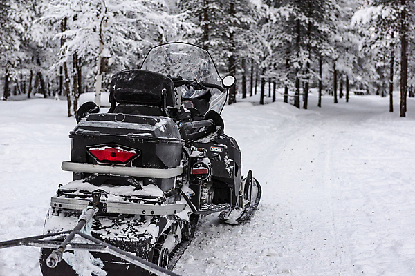 포토 JPG 해외이미지 나무 계절 공원 도로 호수 스포츠 여행 포즈 캐나다 겨울 교통시설 자연 모바일 휴가 스키 산 노르웨이 안전 풍경 사람없음 야외 얼음 검은색 힘 운전 추위 흰색 숲 북극 속도 서리 엔진 모터 옛날 해외포토 자연요소 식물 공공시설 유럽 길 컬러 교통 북아메리카 모션 겨울스포츠 극지방 시설 생태계 파일형식 이미지허브