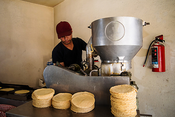 포토 JPG 해외이미지 전통 종이 문화 음식 채소 재료 자연 멕시코 건조 건강 옥수수 씨앗 한명 농작물 노란색 식사 저녁식사 흰색 신선 뜨거움 원형 황금 플러그 맛 전기에너지 상품 낟알 시리얼 유기농 질감 알맹이 반죽 밀가루 타코 내추럴 방앗간 고립 영양분 해외포토 도형 식물 1 웰빙 컬러 컨셉 북아메리카 농업 곡류 사람 에너지 가루 생태계 파일형식 이미지허브