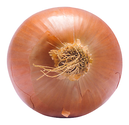 포토 JPG 해외이미지 식물 1 잡화 음식 백그라운드 다이어트 채소 재료 전구 양파 건강 요리 사람없음 주방 샐러드 흰색 신선 양념 시장 황금 맛 수프 정상 먹기 향신료 오브젝트 준비 싱글 유기농 날것 냄새 뿌리 향료 내추럴 고립 숙성 채식주의자 비건 해외포토 웰빙 컬러 컨셉 모션 채식 향기 향미료 파일형식 이미지허브