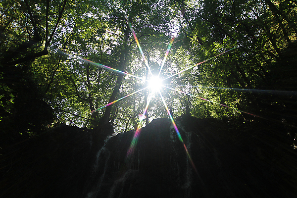 포토 JPG 해외이미지 나무 자연 풍경 사람없음 세로 컬러풀 미국 폭포 명승지 해외포토 식물 컬러 북아메리카 생태계 파일형식 이미지허브
